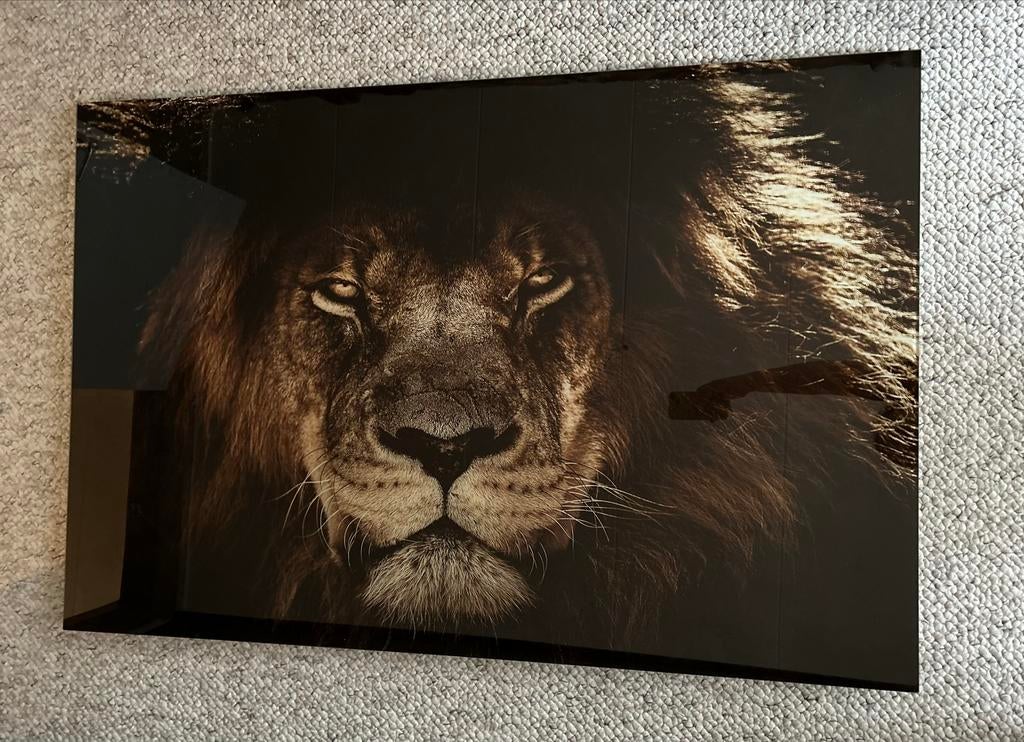 Glasplaat met Leeuw Afbeelding, Ophalen, 100 tot 125 cm, 75 cm of meer, Print