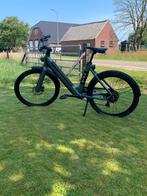 BIRD V-frame electrische fiets, Overige merken, 47 tot 50 cm, Versnellingen, Ophalen of Verzenden