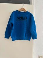 Koblatblauwe trui Sweater maat 110/116, Trui of Vest, Ophalen of Verzenden, Zo goed als nieuw, Jongen
