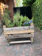 verrijdbare planten/teeltbak, Ophalen of Verzenden, Gebruikt, Hout, 60 cm of meer