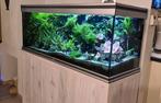 Mooi Aquatlantis Aquarium in uitmuntende staat, Dieren en Toebehoren, Vissen | Aquaria en Toebehoren, Gebruikt, Ophalen, Leeg aquarium