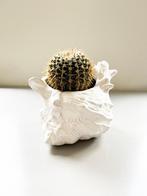 Boho schelp bloempot of vaas in wit aardewerk, Gebruikt, Binnen, Ophalen of Verzenden, Overige vormen