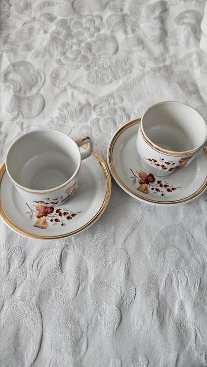 Stijlvol  duo kop en schotel, Huis en Inrichting, Keuken | Servies, Zo goed als nieuw, Kop(pen) en/of Schotel(s), Overige stijlen