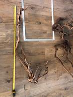 Mooie grote stukken kienhout/ spiderwood., Dieren en Toebehoren, Ophalen, Zo goed als nieuw, Plant(en), Steen of Hout