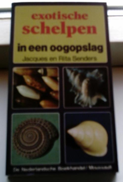 Exotische schelpen in een oogopslag(Senders, 9022612279)., Boeken, Natuur, Zo goed als nieuw, Ophalen of Verzenden