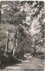 Rolde, Drentsch Landschap, Gelopen, Drenthe, 1920 tot 1940, Verzenden