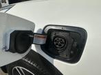 Kia NIRO 1.6 GDI PHEV DYN.L.  PLUG-IN  TREKHAAK, Automaat, Gebruikt, Wit, Bedrijf
