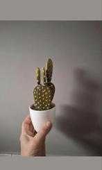 Kunstcatus kunstplant catus, Ophalen of Verzenden, Nieuw, Binnen