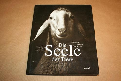 Die Seele der Tiere. Met prachtige foto's., Boeken, Dieren en Huisdieren, Gelezen, Katten, Ophalen of Verzenden