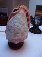 antieke camee schelp lamp schelplamp met paard wagen godin, Antiek en Kunst, Ophalen of Verzenden