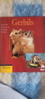 E. Kotter - Gerbils, Boeken, Ophalen of Verzenden, E. Kotter, Zo goed als nieuw, Paarden of Pony's