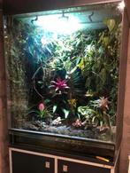 Groot paludarium of terrarium, Ophalen, Gebruikt, Terrarium of Paludarium