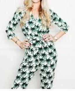 Leuke wit/groene FABIENNE CHAPOT JANNAH jumpsuit, Kleding | Dames, Jumpsuits, Gedragen, Maat 36 (S), Groen, Ophalen