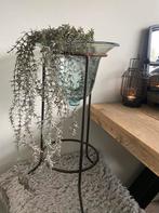 Glazen cloche op standaard, Ophalen, Gebruikt, 50 tot 75 cm, Glas