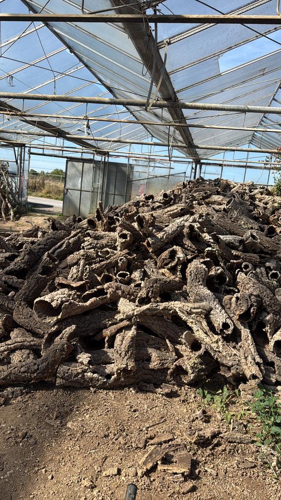 Natuurkurk voor terraria, vogels & decoratie – €9 per kg!, Dieren en Toebehoren, Reptielen en Amfibieën | Toebehoren, Tak, Plant, Rots of Steen