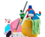 Schoonmaakster/huishoudelijke hulp gezocht, Overige vormen, Overige niveaus
