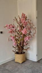 Bloesemboom met echt hout, Huis en Inrichting, Ophalen, Zo goed als nieuw