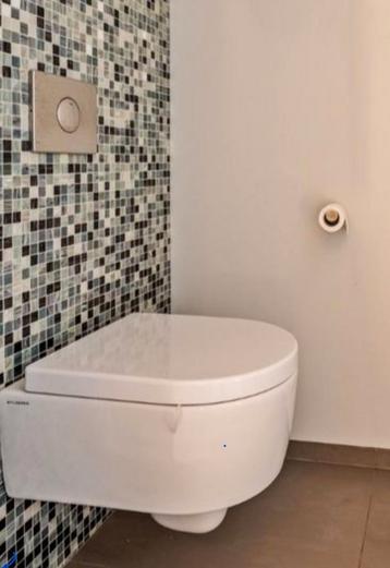Hangtoilet Flaminia  beschikbaar voor biedingen