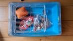 Kleine hamsterkooi, Dieren en Toebehoren, Knaagdieren en Konijnen | Hokken en Kooien, Kooi, Minder dan 75 cm, Hamster, Minder dan 60 cm