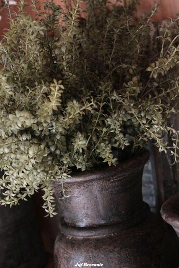 Bos kunstgroen /bush green Bos kunstgroen /bush green Bos k beschikbaar voor biedingen