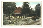 978087 Drouwen Drenthe Theehuis Drouwenerzand 1955 . Nette