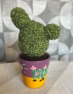 Gehaakte cactus potje 6cm, totaal 16cm, Ophalen of Verzenden, Nieuw, Binnen