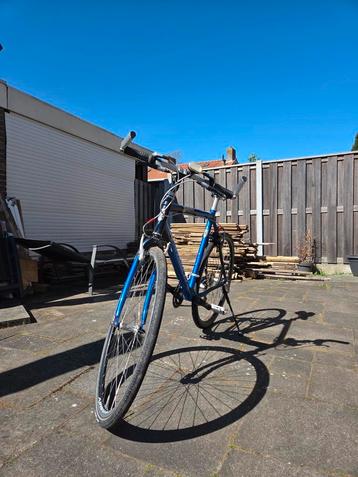 Gazelle Golfo 7000 beschikbaar voor biedingen