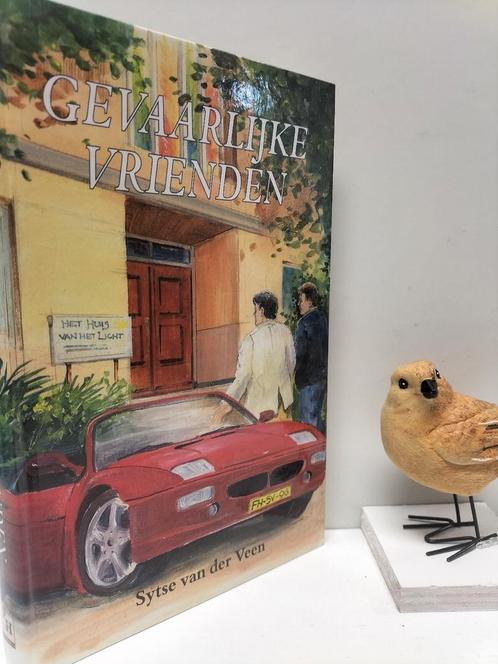 Veen, Sytse van der; Gevaarlijke vrienden, Boeken, Romans, Gelezen, Nederland, Ophalen of Verzenden
