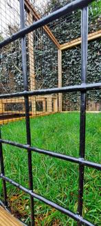 Kattenren Schoonhoven | Maatwerk | Duurzame materialen, Dieren en Toebehoren, Katten-accessoires, Ophalen of Verzenden, Nieuw