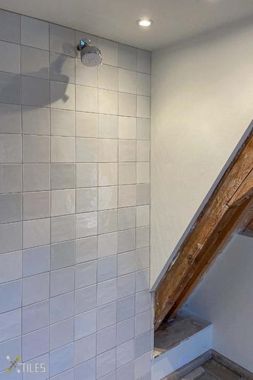 Rustiek | Friese Witjes wandtegels beschikbaar voor biedingen