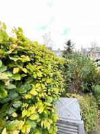 Tuinman & Klusser, Diensten en Vakmensen, Tuinmannen en Stratenmakers, Garantie, Hekwerk of Schuttingen