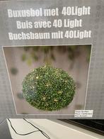 Buxus bollen, Ophalen of Verzenden, Zo goed als nieuw, Interieur en Design