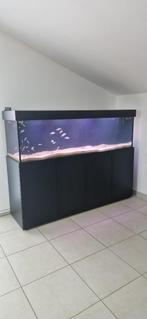 Aquarium Aqualife, Ophalen of Verzenden, Zo goed als nieuw, Leeg aquarium