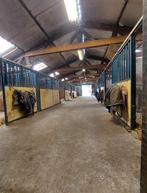 11 stallen op mooie locatie te huur In Putten GLD, Dieren en Toebehoren, Stalling en Weidegang