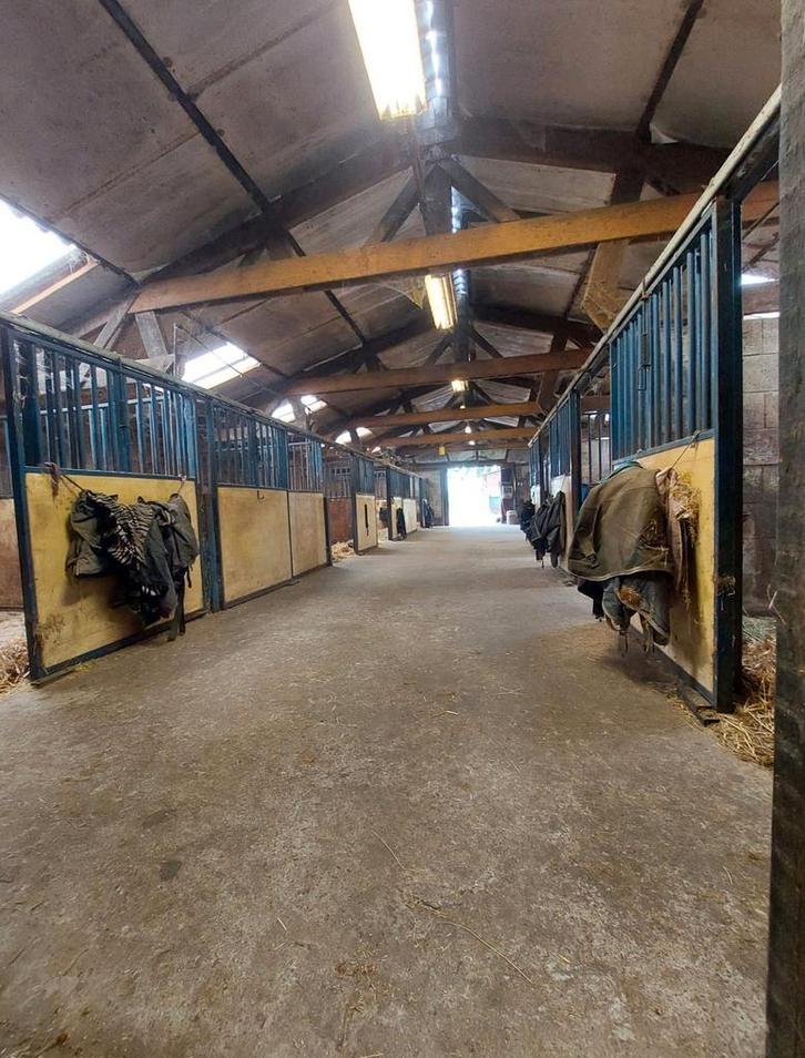 11 stallen op mooie locatie te huur In Putten GLD, Dieren en Toebehoren, Stalling en Weidegang