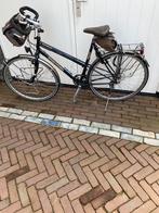 Koga Randonneur frame hoogte 55 a 56, Fietsen en Brommers, Fietsen | Dames | Damesfietsen, 53 tot 56 cm, Ophalen, Gebruikt, Overige merken