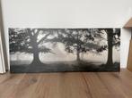 Ikea Foto Canvas, Huis en Inrichting, Woonaccessoires | Schilderijen, Tekeningen en Foto's, Ophalen, 50 tot 75 cm, 125 cm of meer