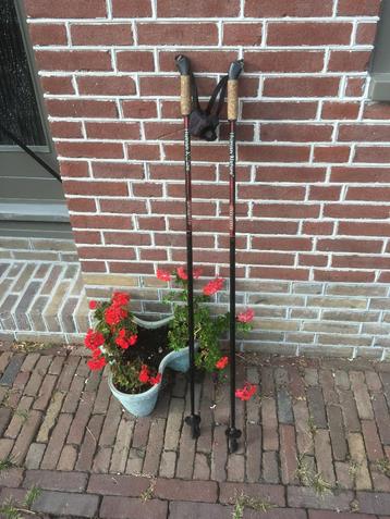 nordic walking carbon loop wandel stokken (2 stuks) beschikbaar voor biedingen