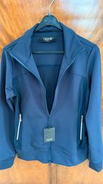 Quur Jasje - Maat M - Blauw, Dressuur, Nieuw, Ophalen of Verzenden, Dames