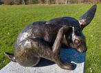HAAS KRABT AAN OOR / bronzen beeld, Dierenbeeld, Nieuw, Info@huisentuindecoratiemarie.nl, Huis en tuin decoratie marie