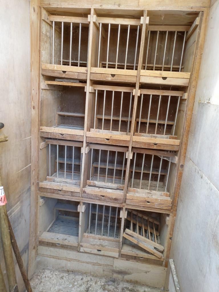 Duiven steunen en hokjes voor duivenmelker, Dieren en Toebehoren, Vogels | Hokken en Kooien, Ophalen of Verzenden, Hout, Vogelkooi