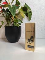 Arabians tonka 100ML, Sieraden, Tassen en Uiterlijk, Uiterlijk | Parfum, Ophalen of Verzenden, Gebruikt