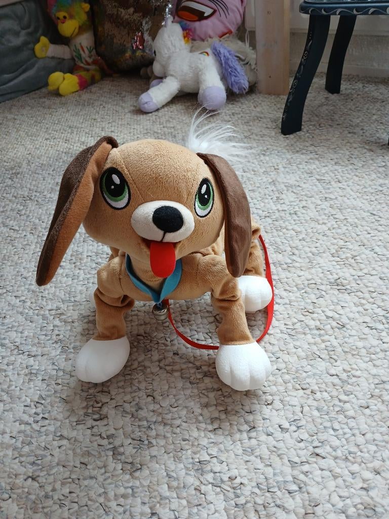 Hondje om mee te trekken, Ophalen, Hond