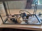 Mooi compleet aquarium, Dieren en Toebehoren, Vissen | Aquaria en Toebehoren, Ophalen, Zo goed als nieuw, Leeg aquarium