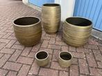 Mooie set Bela Arte bloempotten Mira goud van de Intratuin, Ophalen, Rond, Binnen, Zo goed als nieuw
