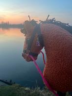 Lieve hobby horse, Ophalen of Verzenden, Nieuw