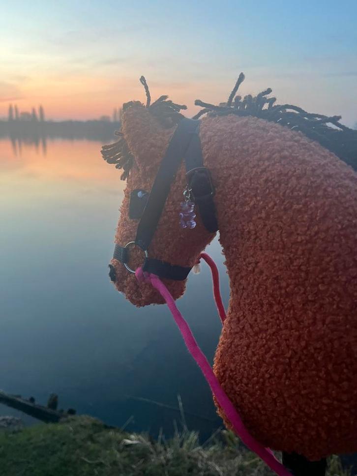 Lieve hobby horse, Boeken, Hobby en Vrije tijd, Nieuw, Ophalen of Verzenden