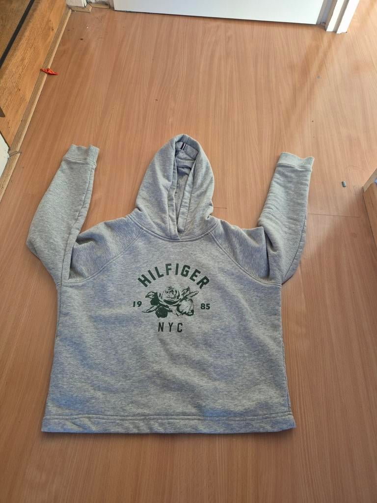 Tommy Hilfiger hoodie grijs met groen logo s, Ophalen of Verzenden, Gebruikt, Tommy Hilfiger, Jongen of Meisje