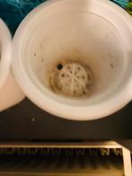 Set van 3 witte bloempotten, , gebruikt, Tuin en Terras, Ophalen, Kunststof, Gebruikt, Rond