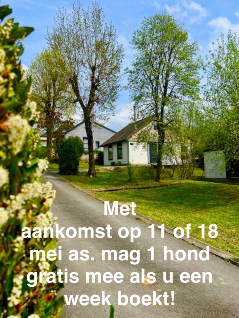 Op vakantie in omheinde bungalow hond GRATIS Limburg, Ophalen, Zo goed als nieuw, Overige